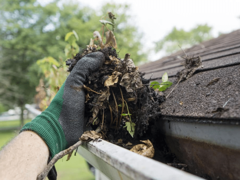 Gutter Clean Out Services Southampton PA